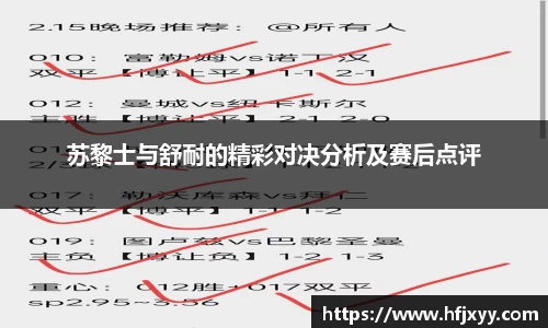 苏黎士与舒耐的精彩对决分析及赛后点评