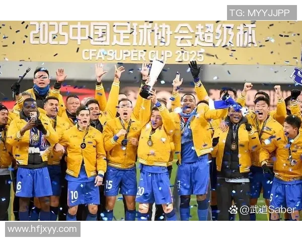 上海申花与深圳精彩对决录像回放分析及赛后点评